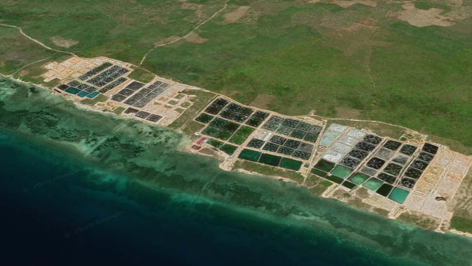 Shrimp farm in Sulawesi