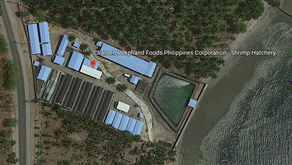 CP Phils hatchery