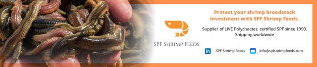 SPF Feeds
