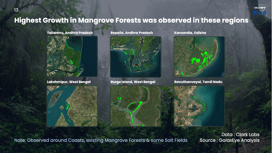 An illustration of some of the geographies where mangrove forests expanded between 1999-2022