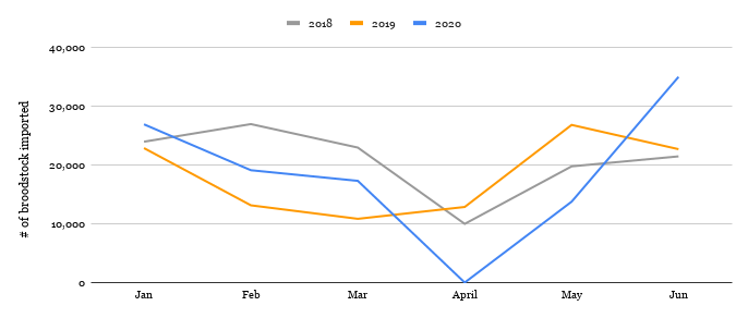 Broodstock import trend India 2018-2020