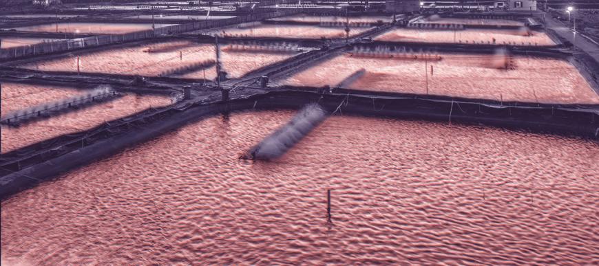 Vietnam intensive ponds