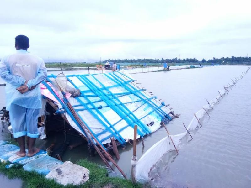 Flooding Odisha