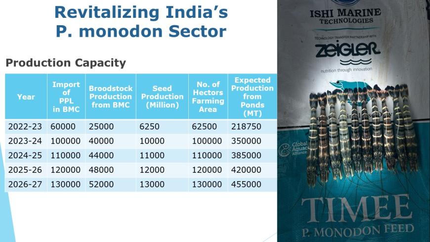 A presentation snapshot demonstrating Dhaval Contractor's predictions for India's black tiger shrimp's production capacity