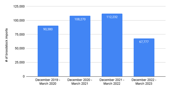 India’s broodstock imports catering to the first crop of the year from 2020–2023