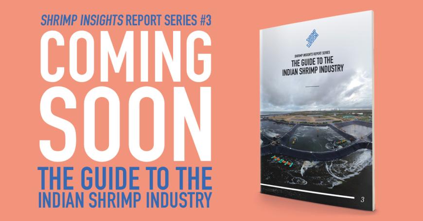 Coming Soon: The Guide to the Indian Shrimp Industry