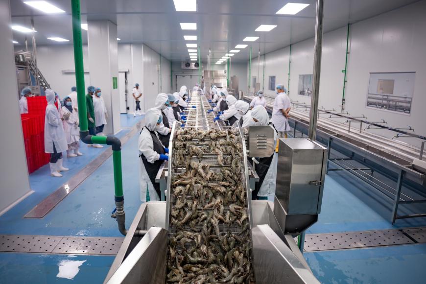 Inside TotalFood Processing in Khulna, Bangladesh