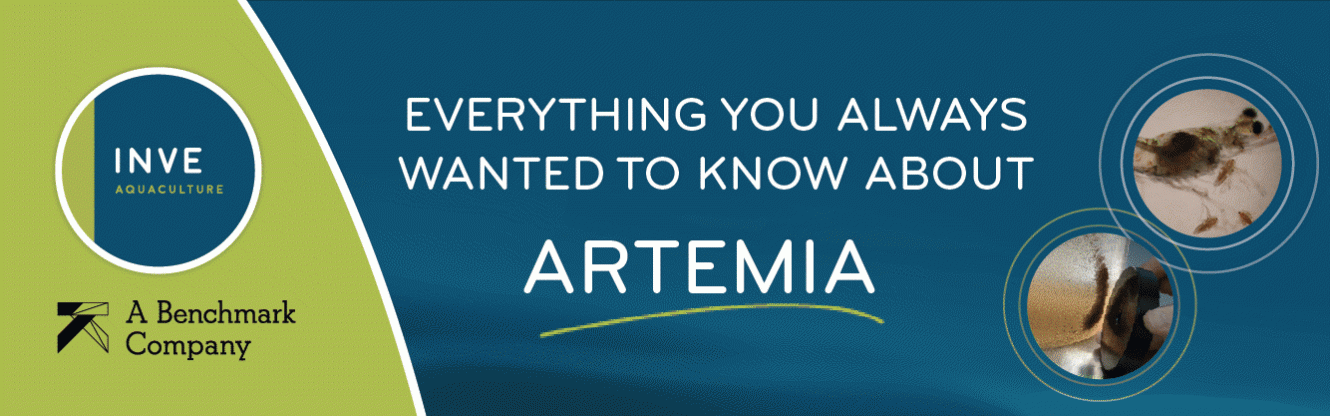 Artemia