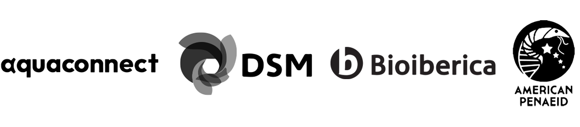 Logo balk