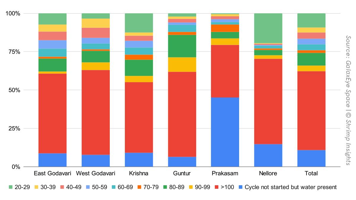 Estimated shrimp counts in active ponds in Andhra Pradesh